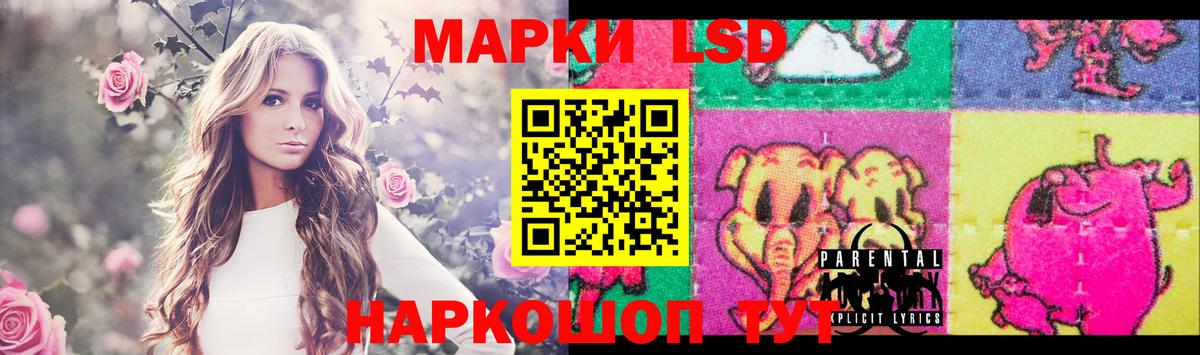 Грозный  LSD-25 экстази кислота  Лсд 25 экстази  Вход с VPN  ЛСД экстази кислота 