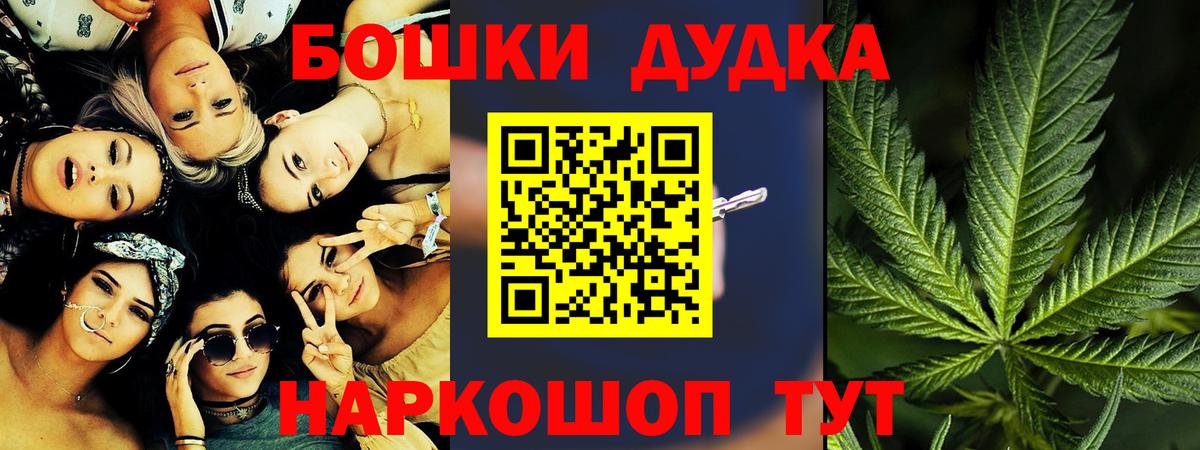 Конопля сатива Грозный